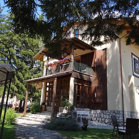 Villa Dei Pini ペスカッセーロリ エクステリア 写真