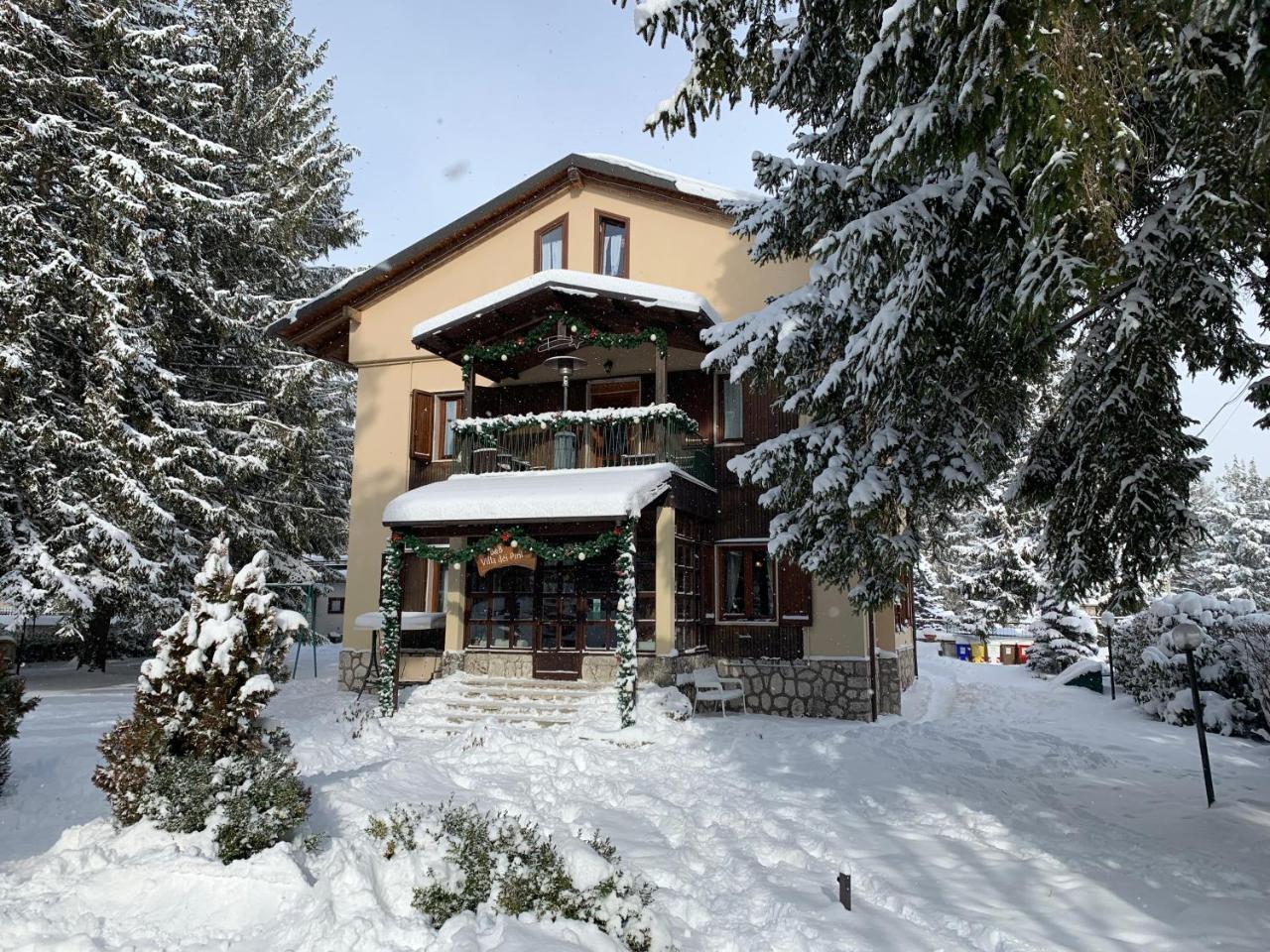 Villa Dei Pini ペスカッセーロリ エクステリア 写真