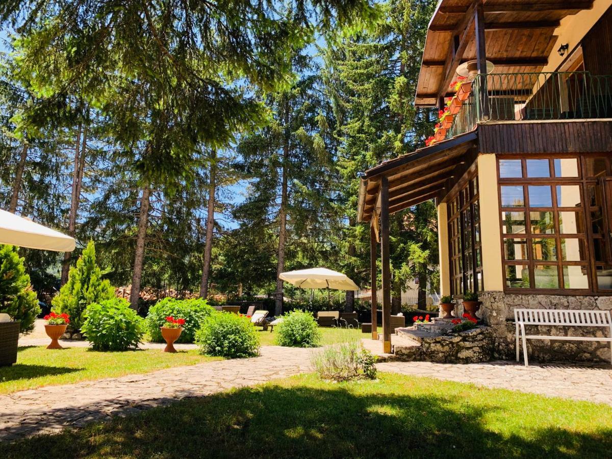 Villa Dei Pini ペスカッセーロリ エクステリア 写真