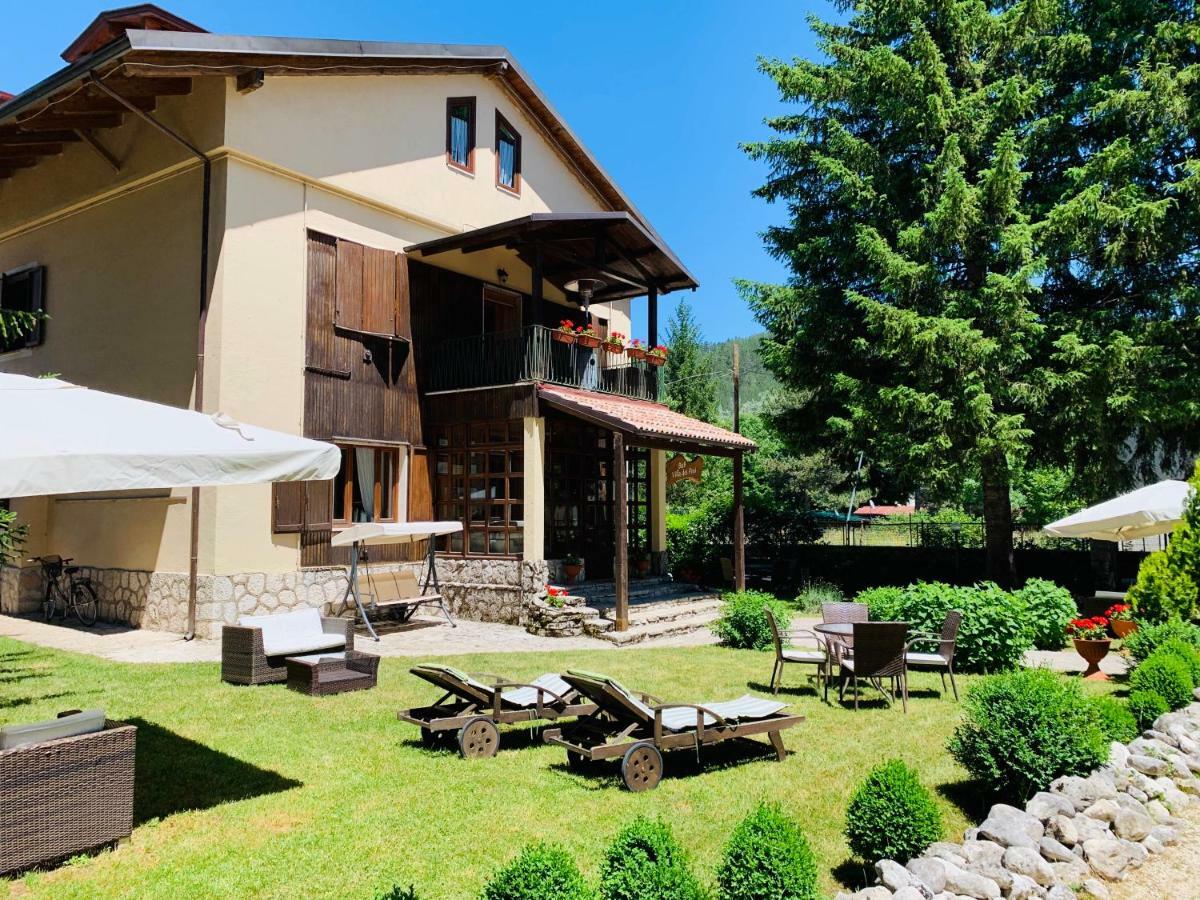Villa Dei Pini ペスカッセーロリ エクステリア 写真