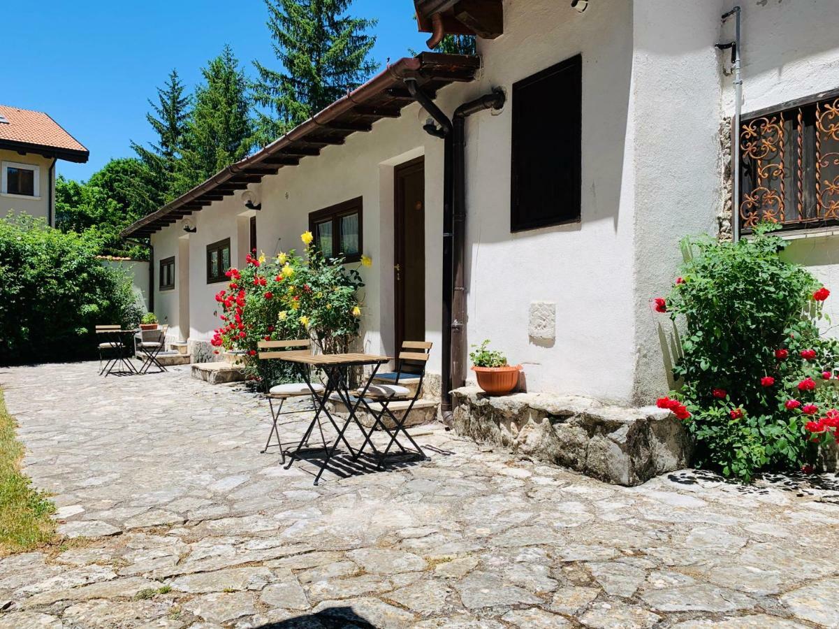 Villa Dei Pini ペスカッセーロリ エクステリア 写真